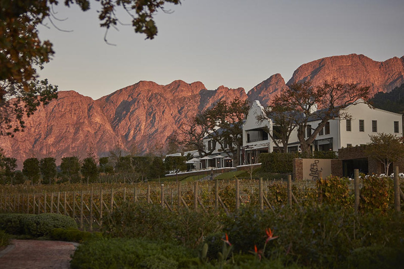 Leeu Estates, how it began