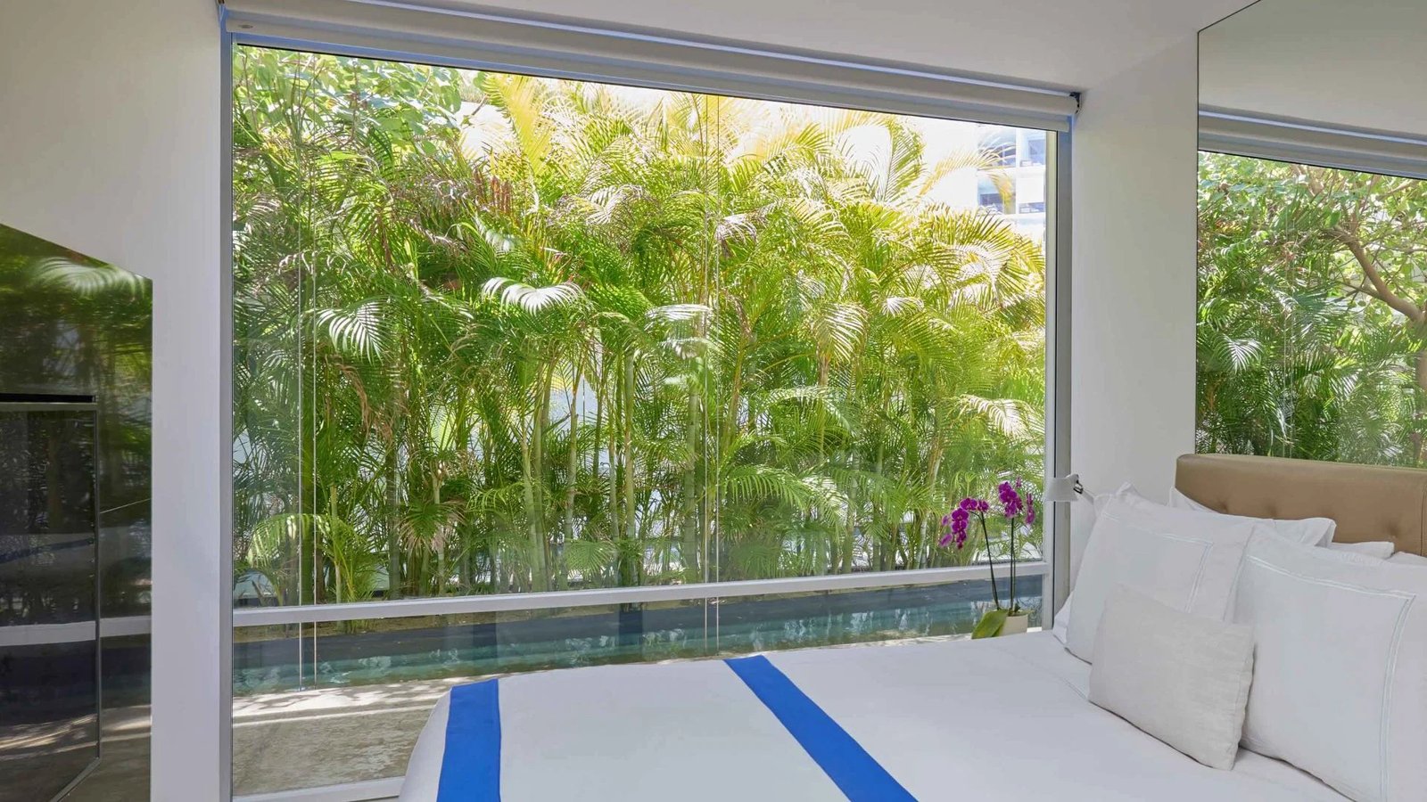 Viceroy Los Cabos, rooms