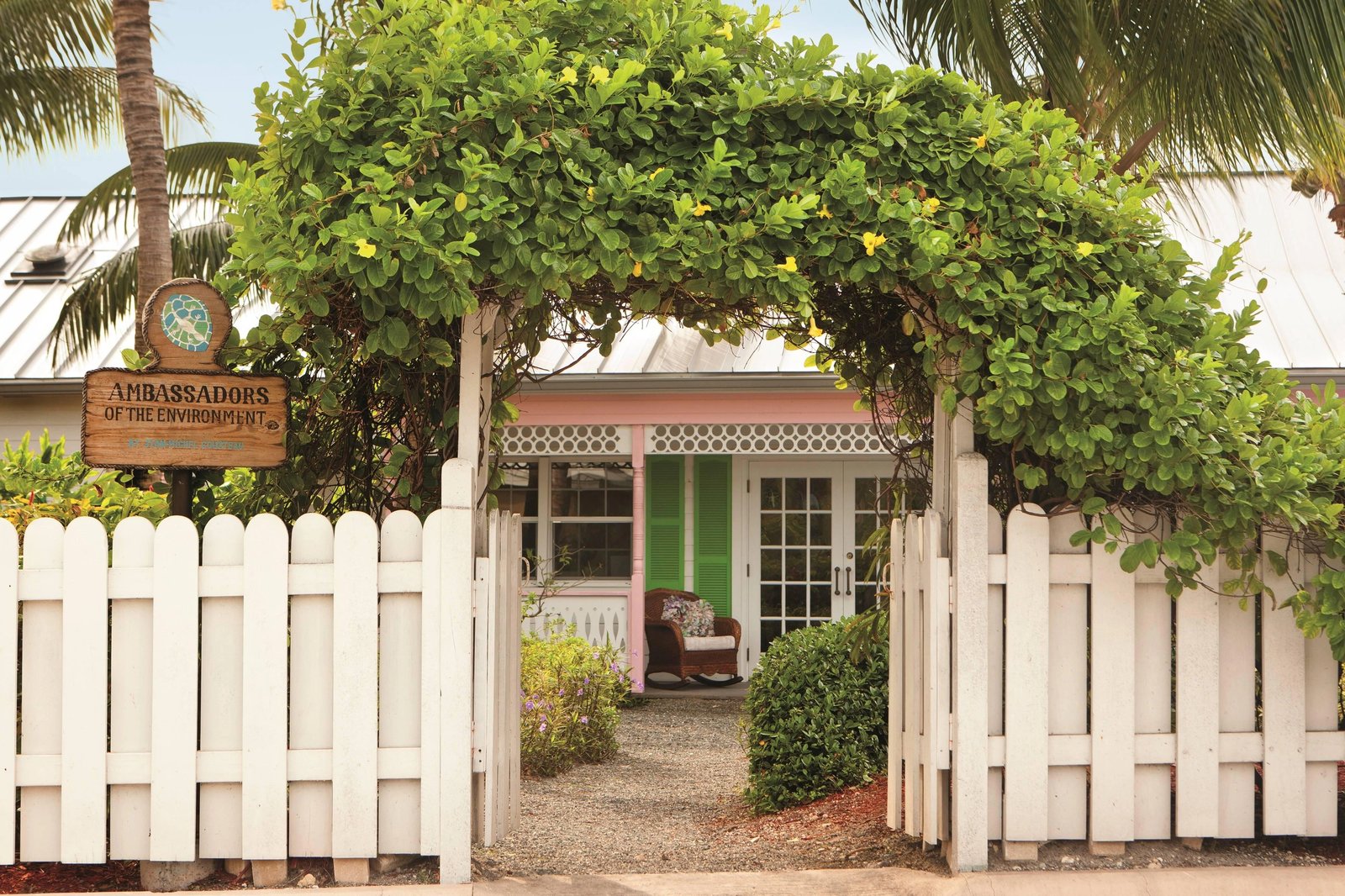 The Ritz-Carlton, Grand Cayman, backstory