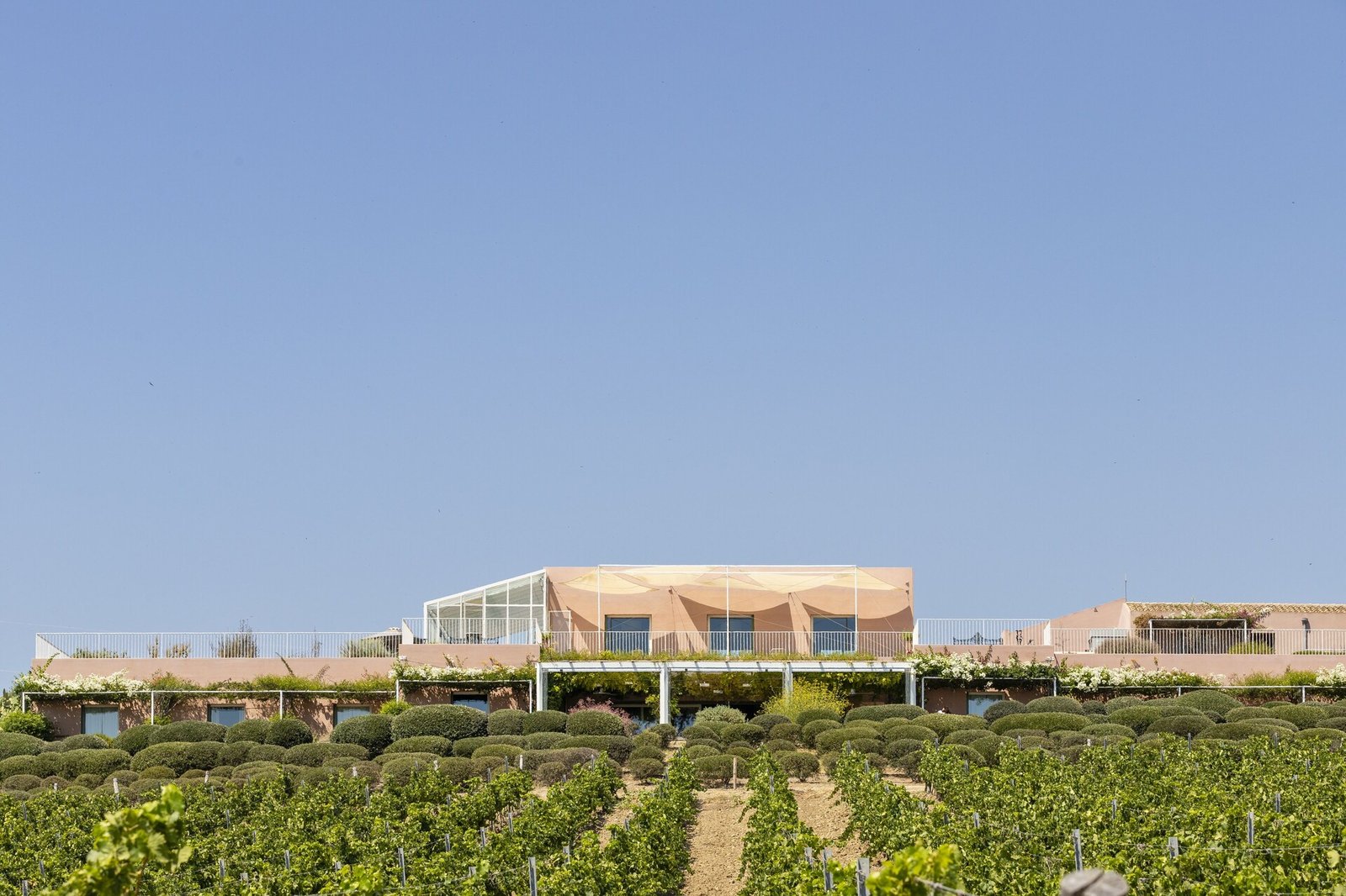 La Foresteria Planeta Estate, how it began