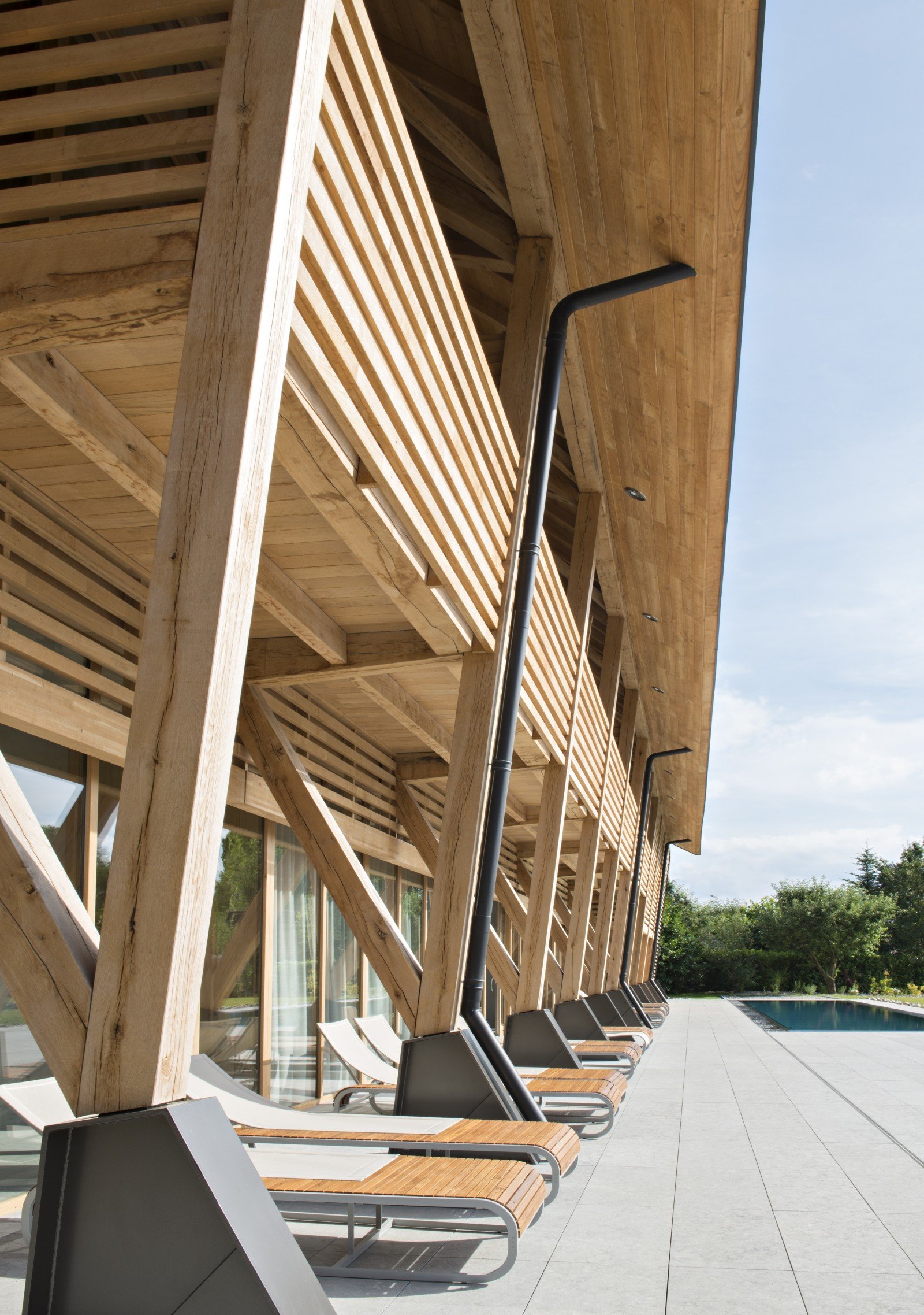 Hôtel des Berges et Spa des Saules [Haeberlin], the pool