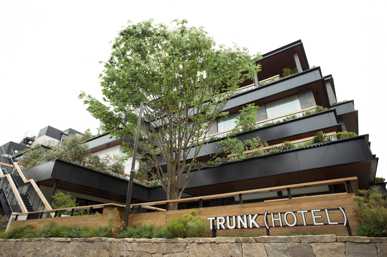 TRUNK (HOTEL) — backstory