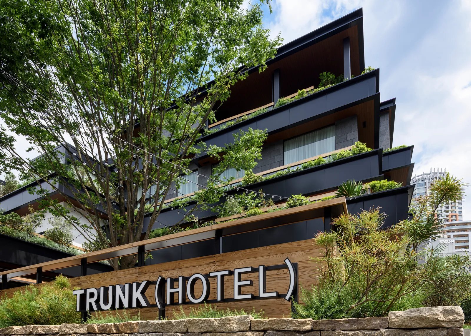 TRUNK (HOTEL) — backstory