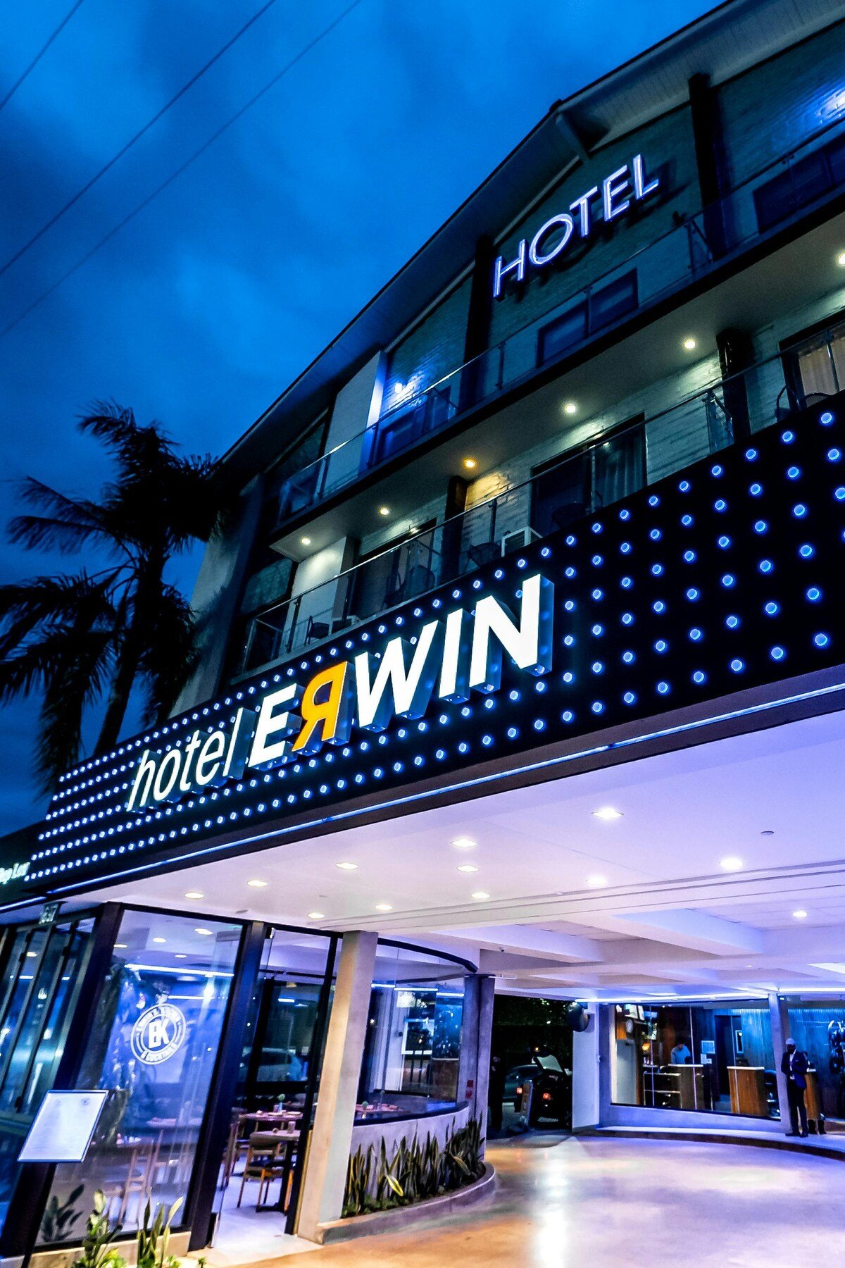 Hotel Erwin — backstory