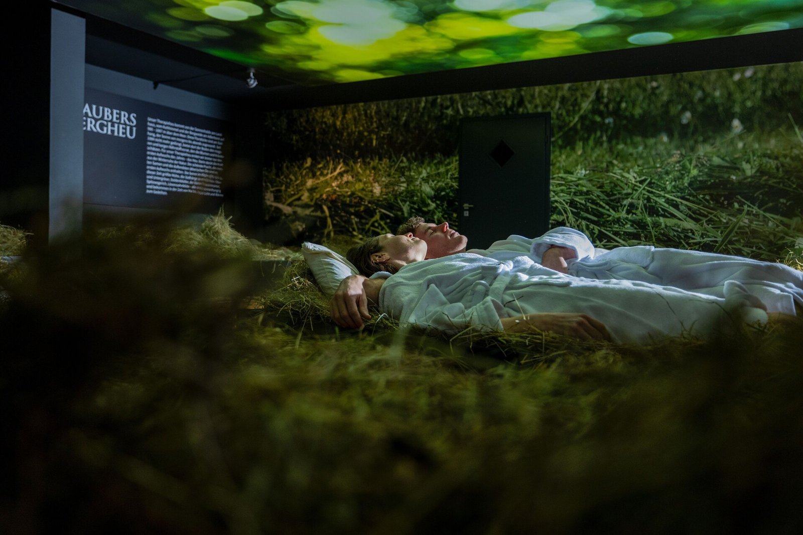Haubers Naturresort, the spa