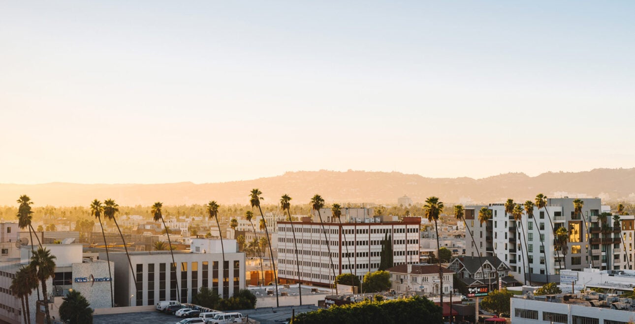 The LINE LA — vibe