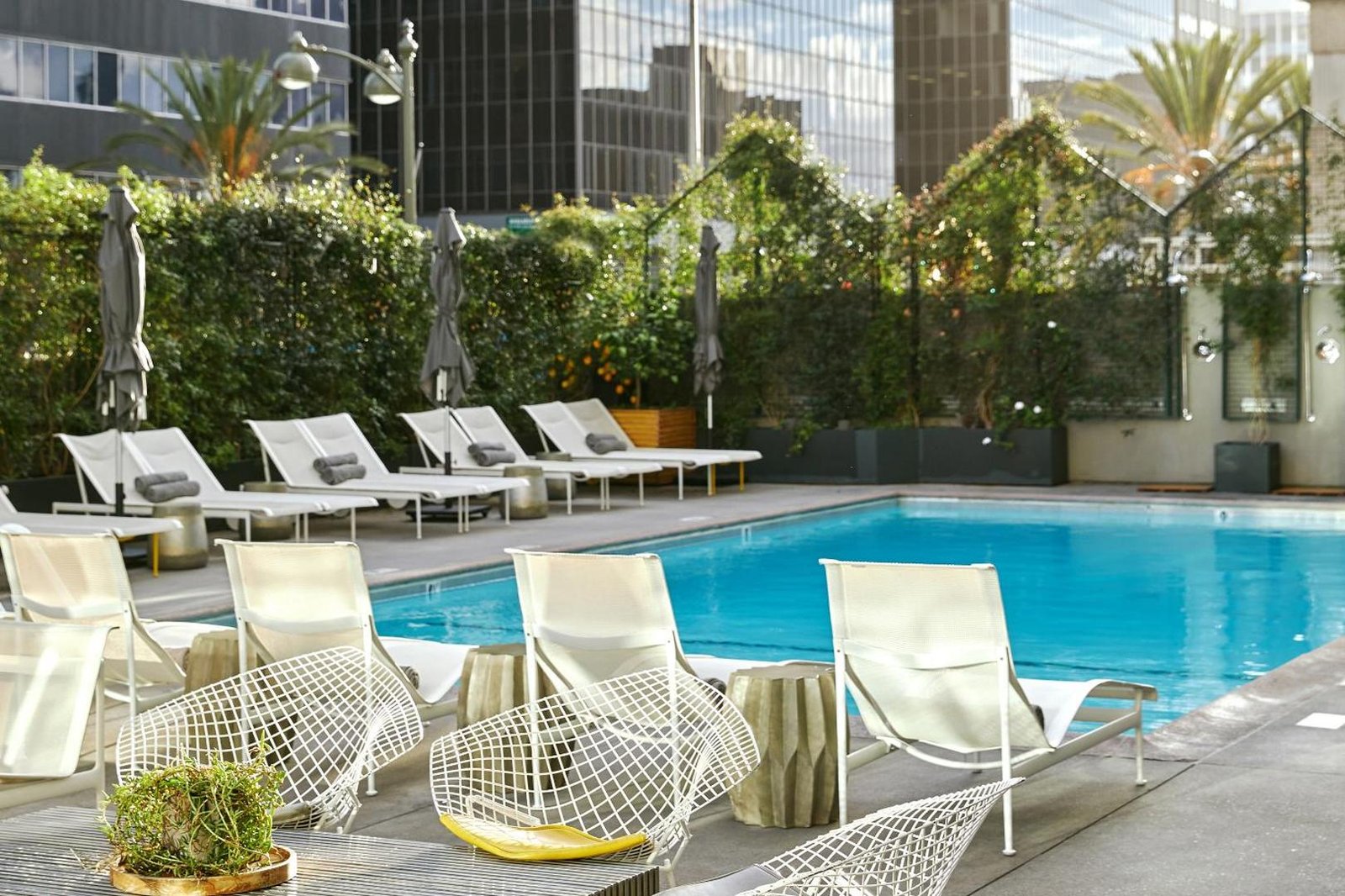 The LINE LA — wellness