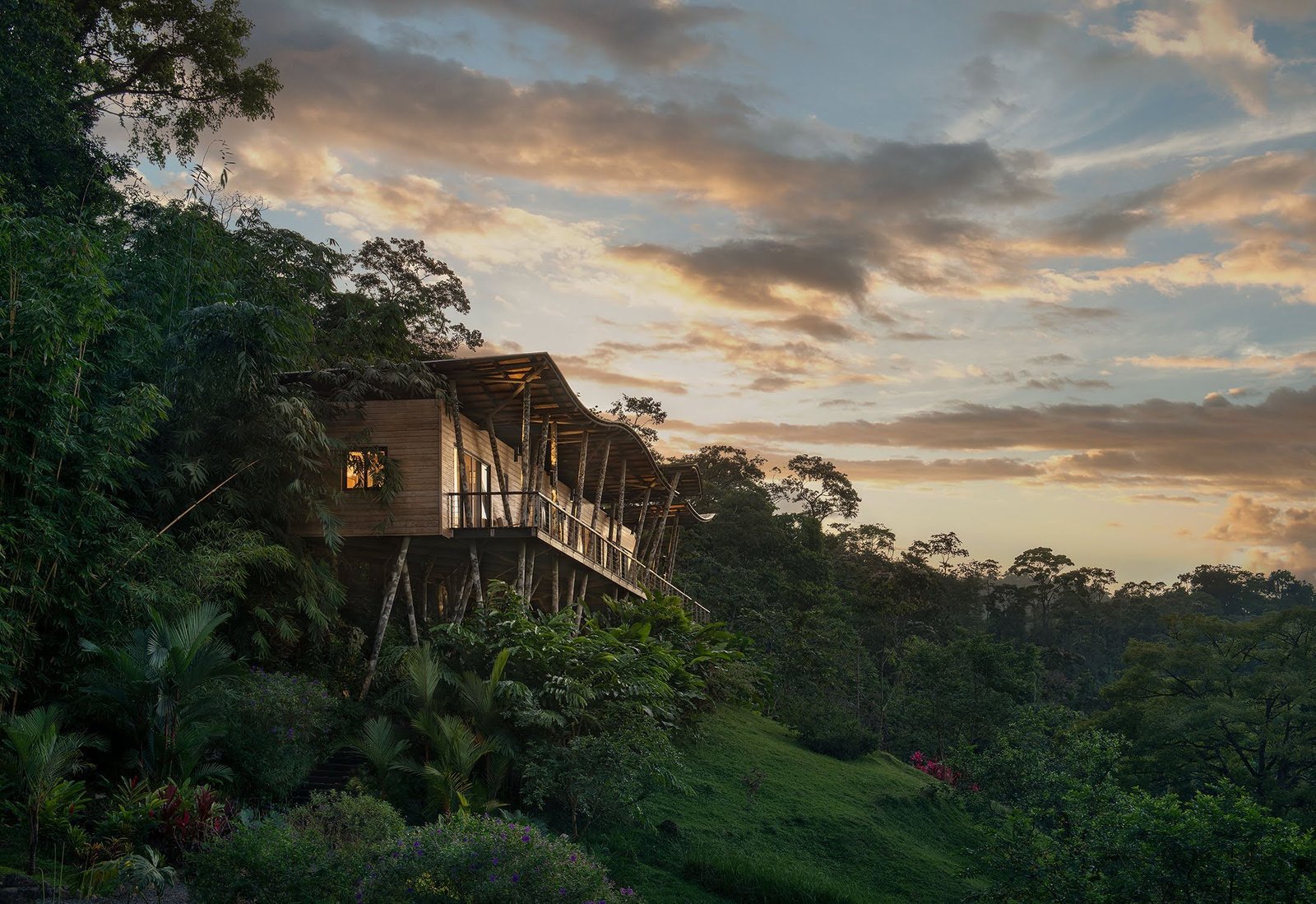 Origins Luxury Lodge (Floral), backstory