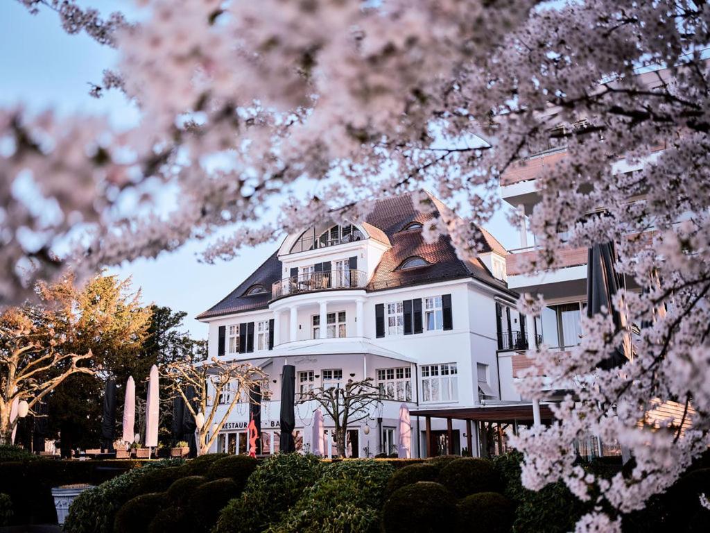 RIVA - Das Hotel am Bodensee, backstory