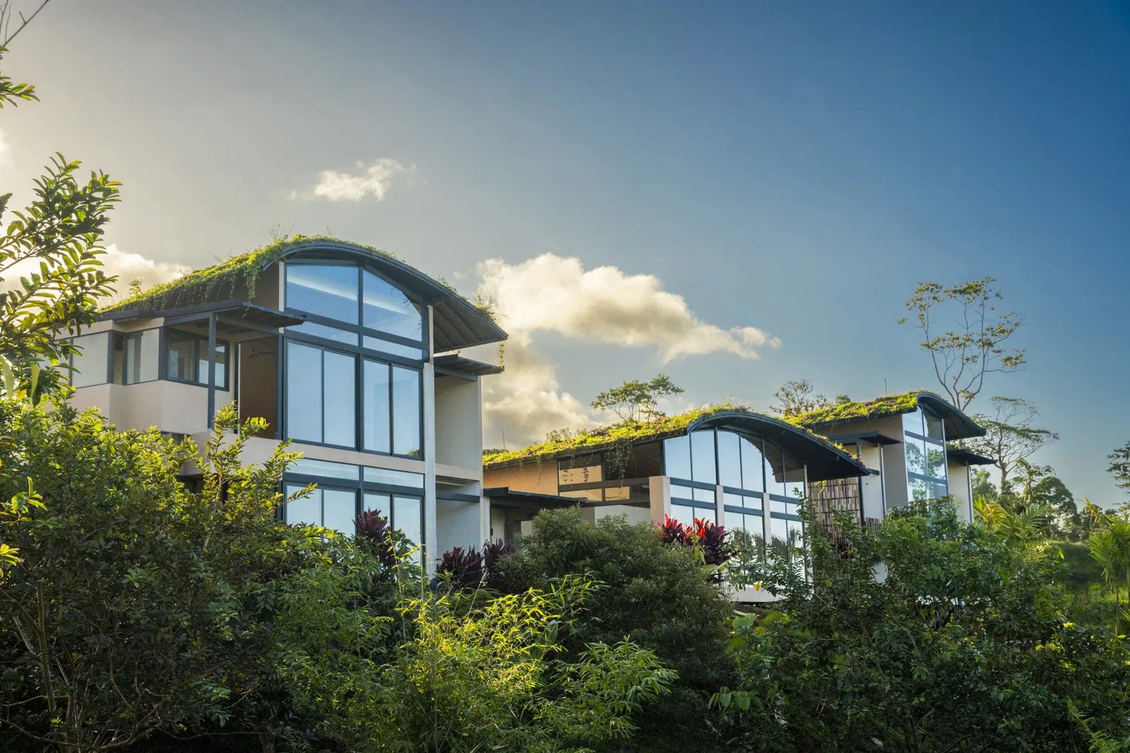 Origins Luxury Lodge (Astral), backstory