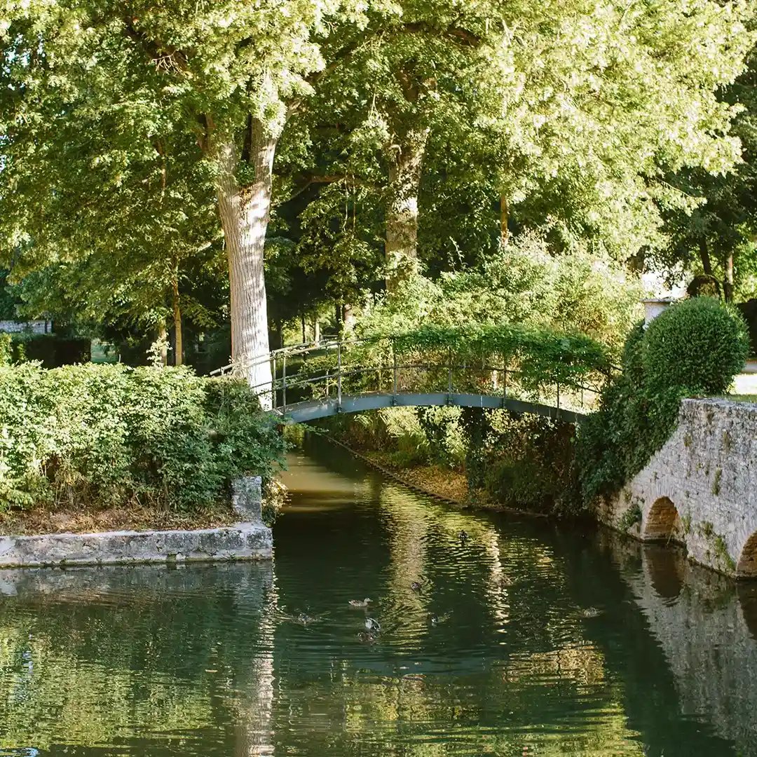 Domaine de Primard, vibe