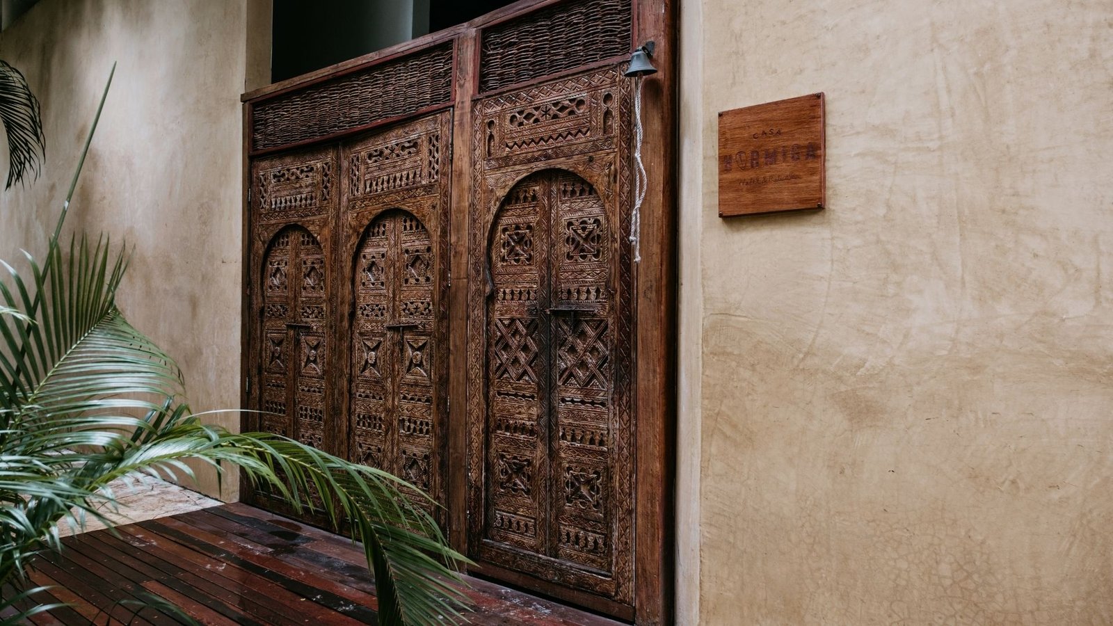 Hotel Casa Hormiga, backstory