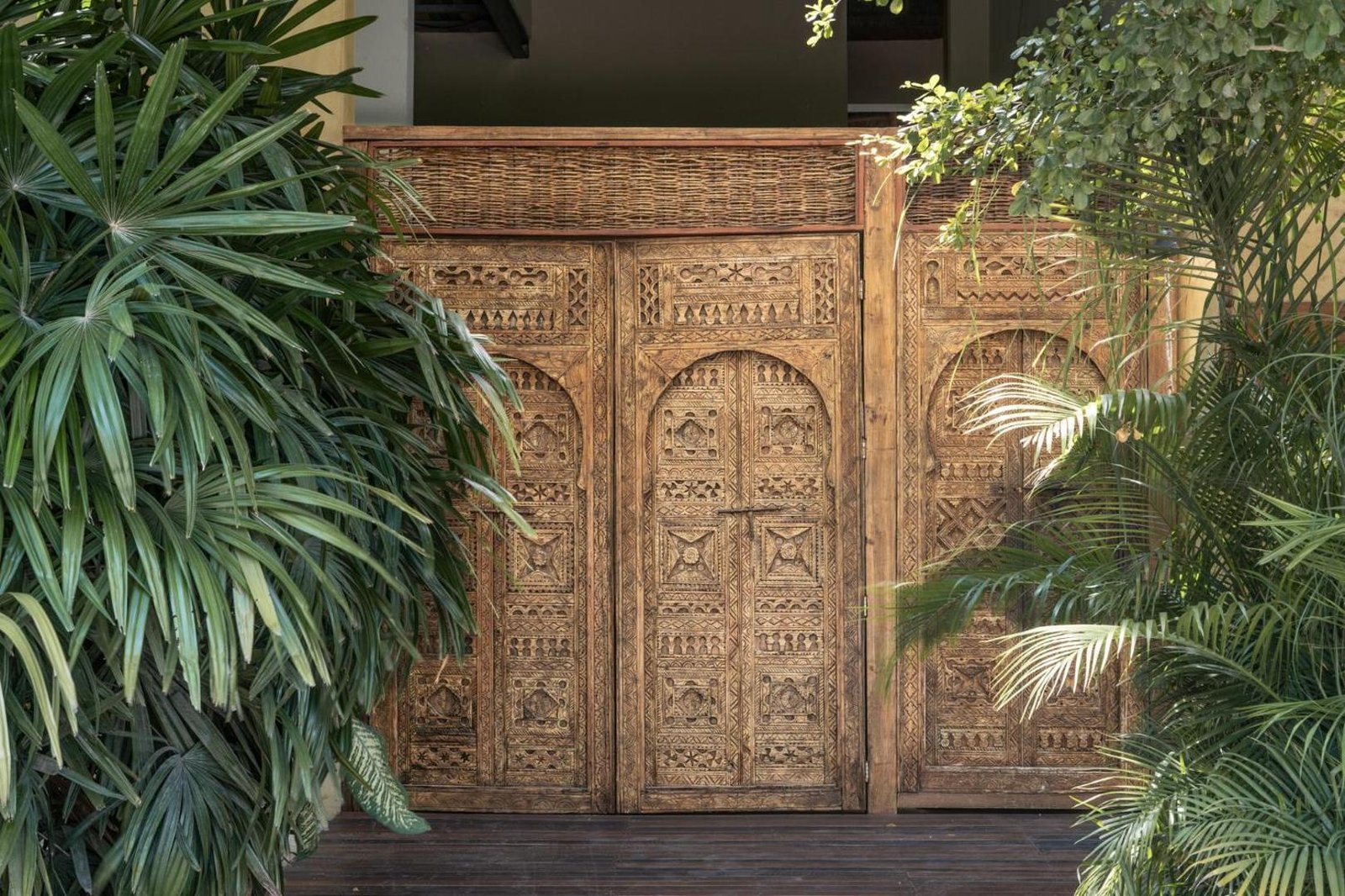 Hotel Casa Hormiga, backstory