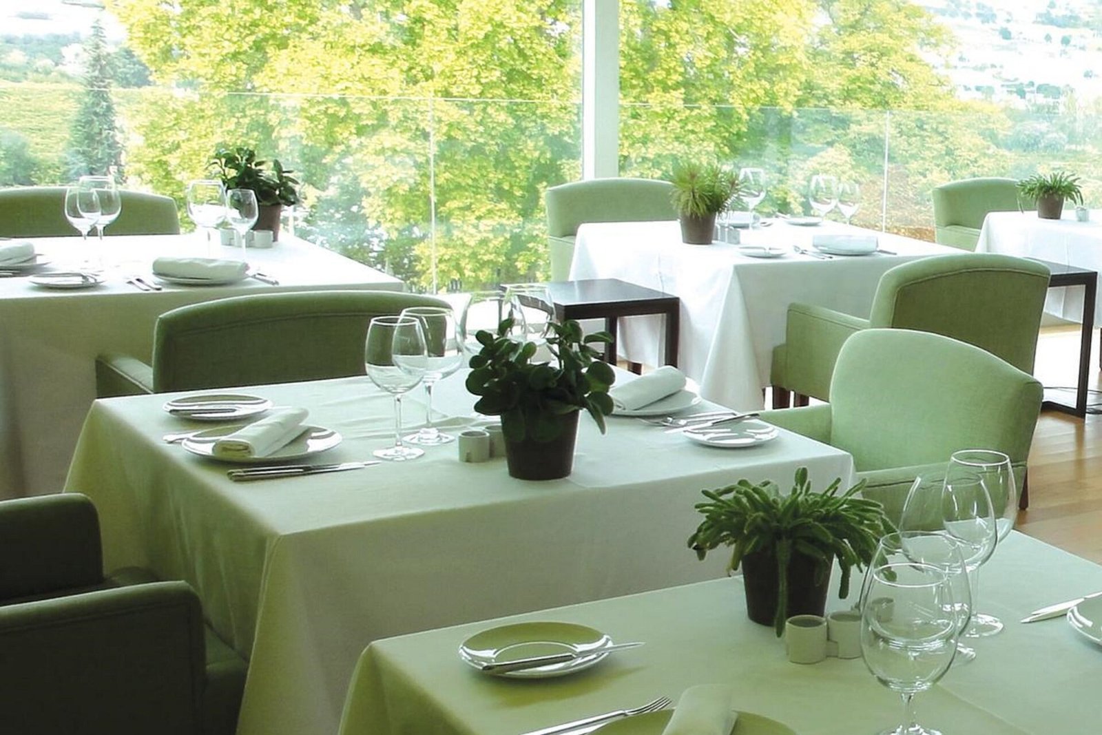 Quinta da Pacheca, at the table