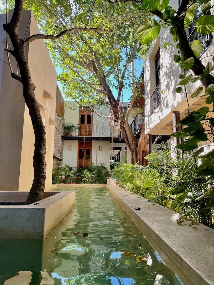 Treehouse Boutique Hotel, wellness