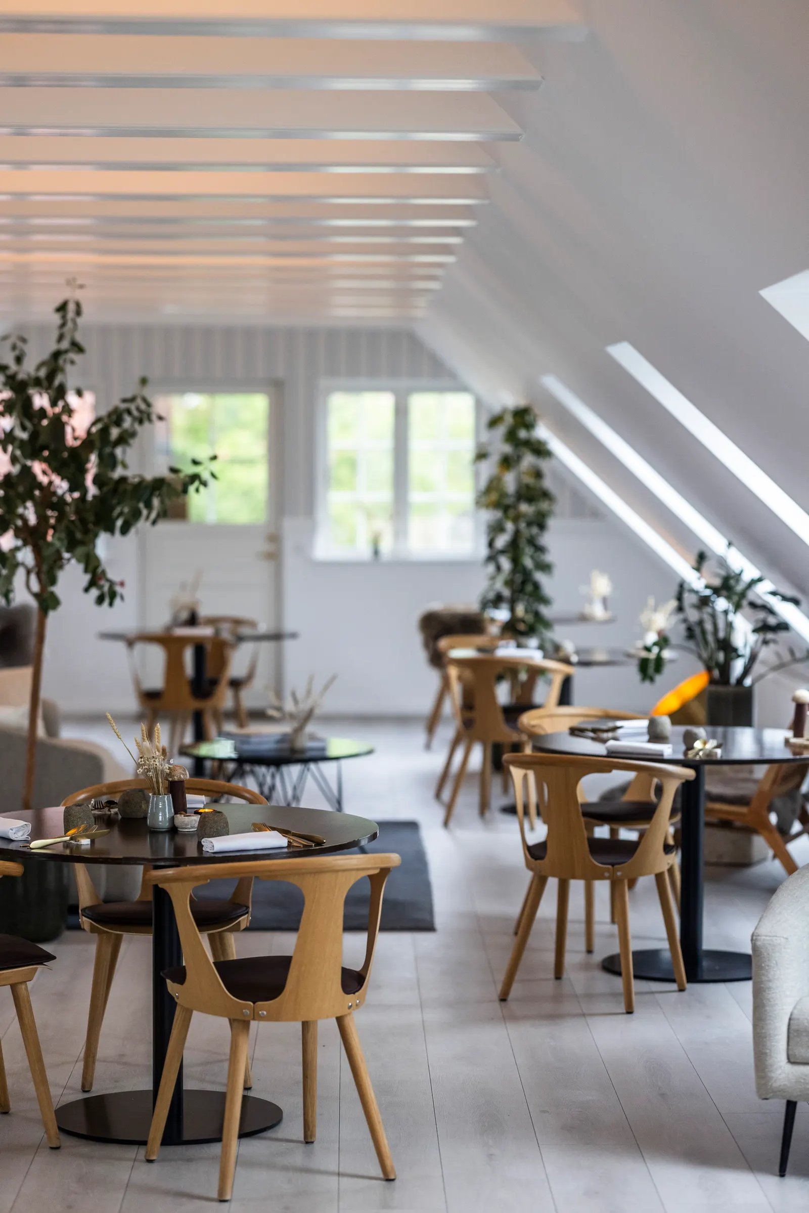 Allinge Badehotel, at the table