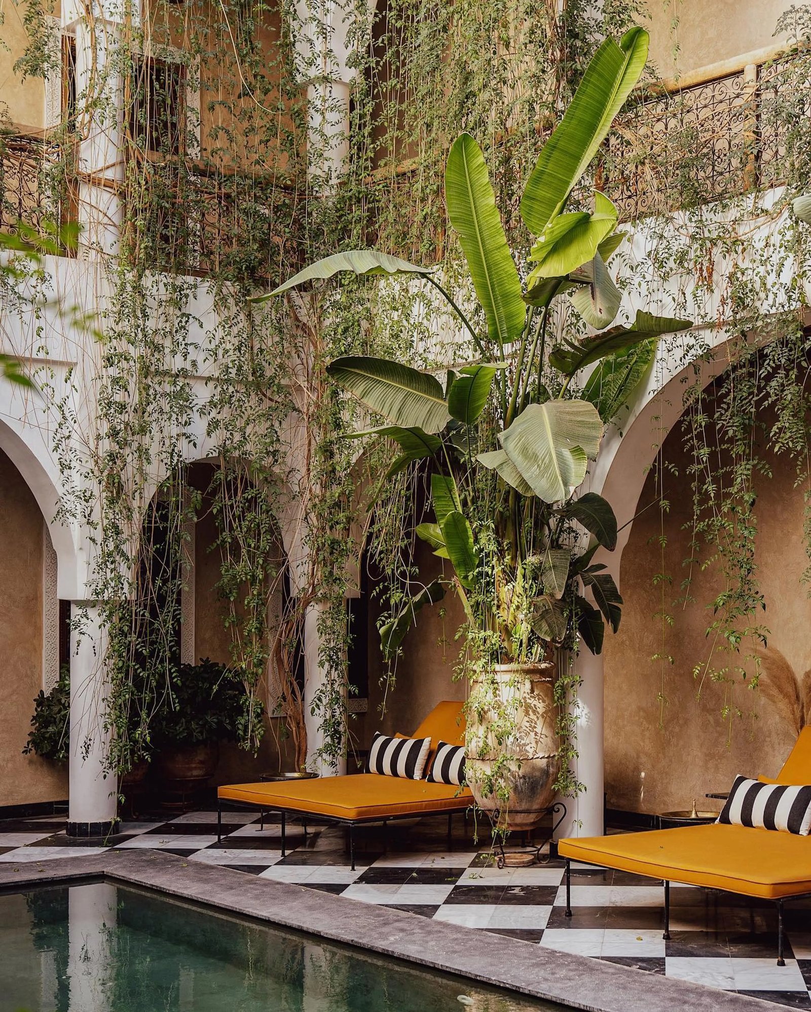 Riad Sakkan, wellness
