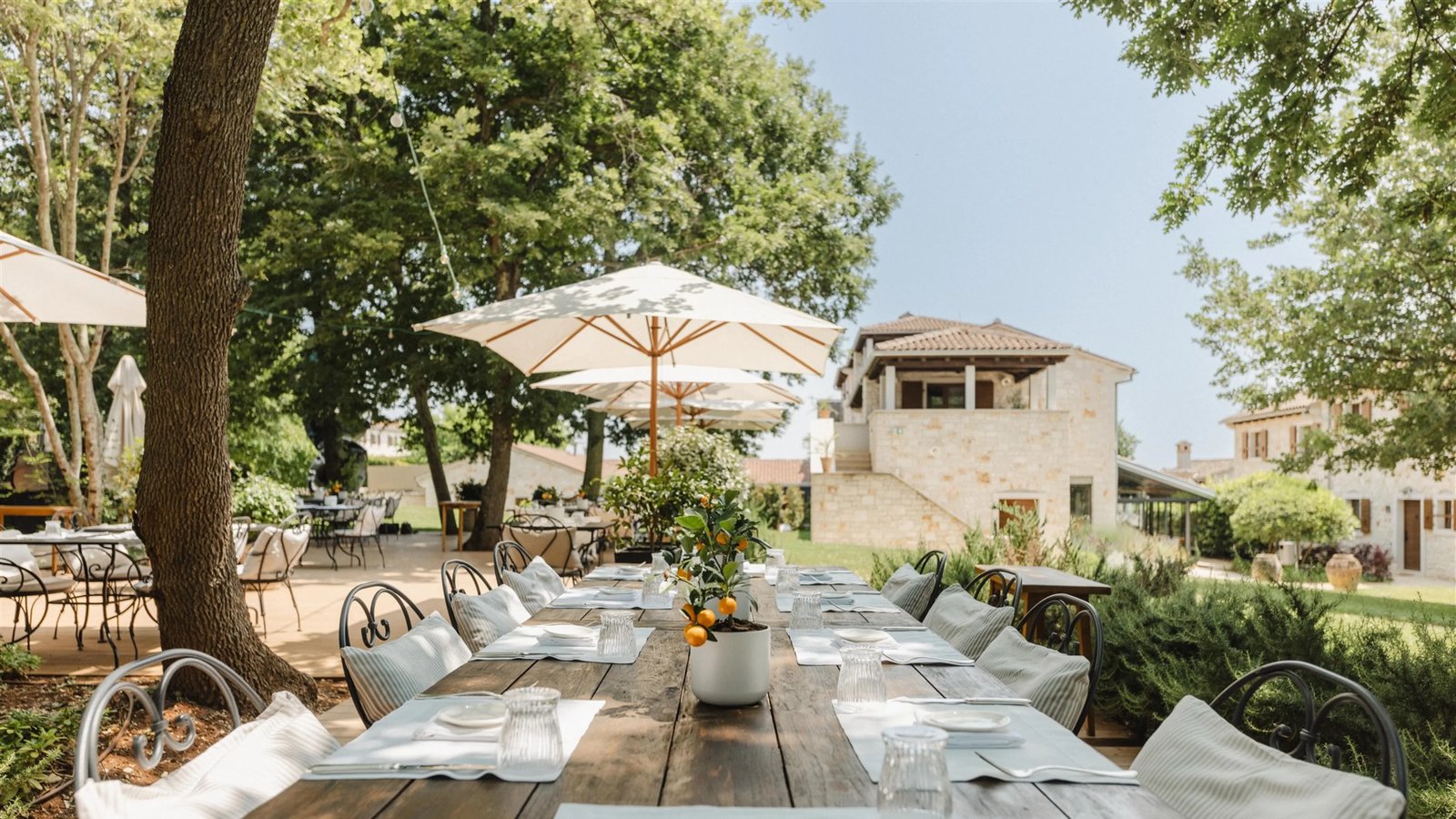 Meneghetti Wine Hotel & Winery, at the table
