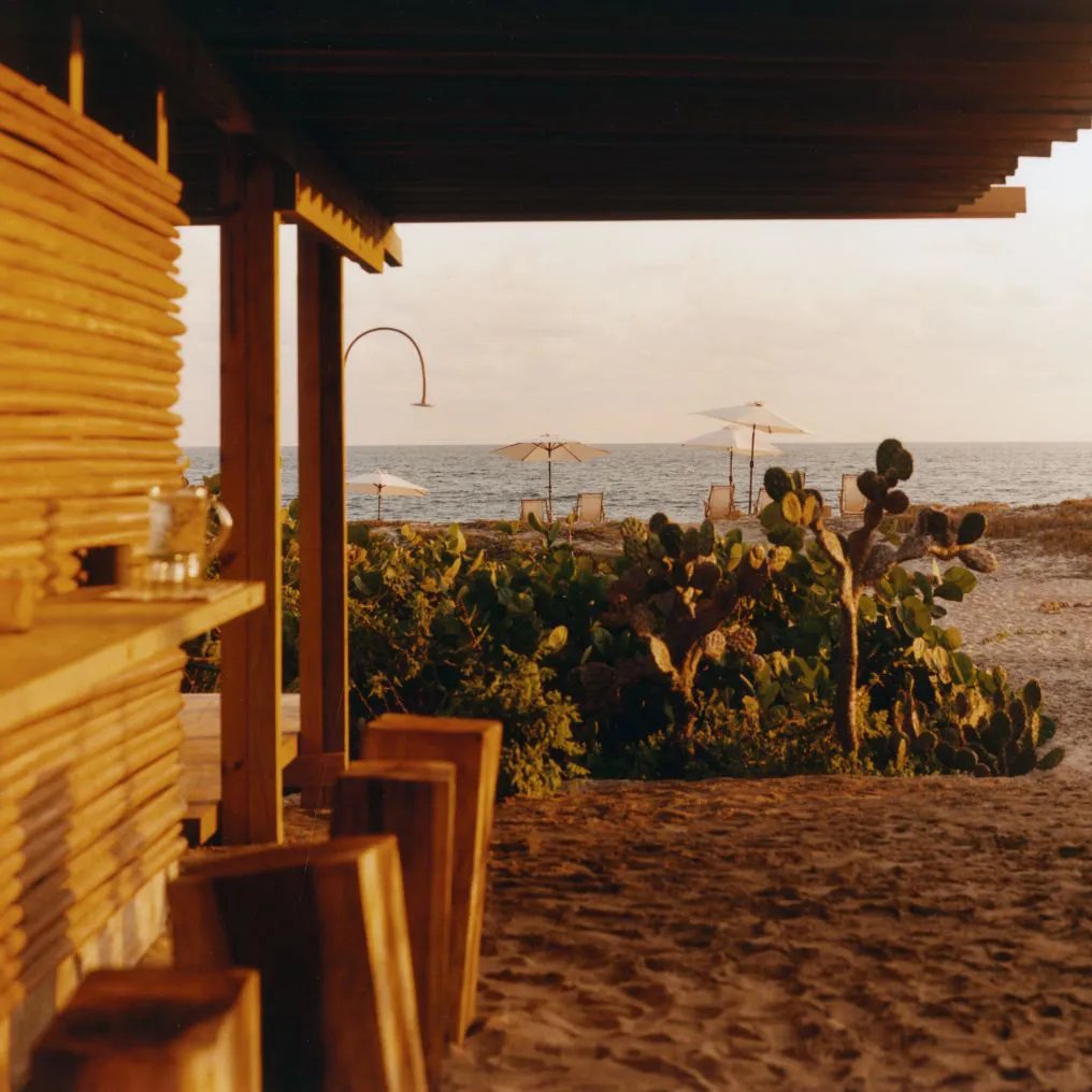 Terrestre Hotel, at the table