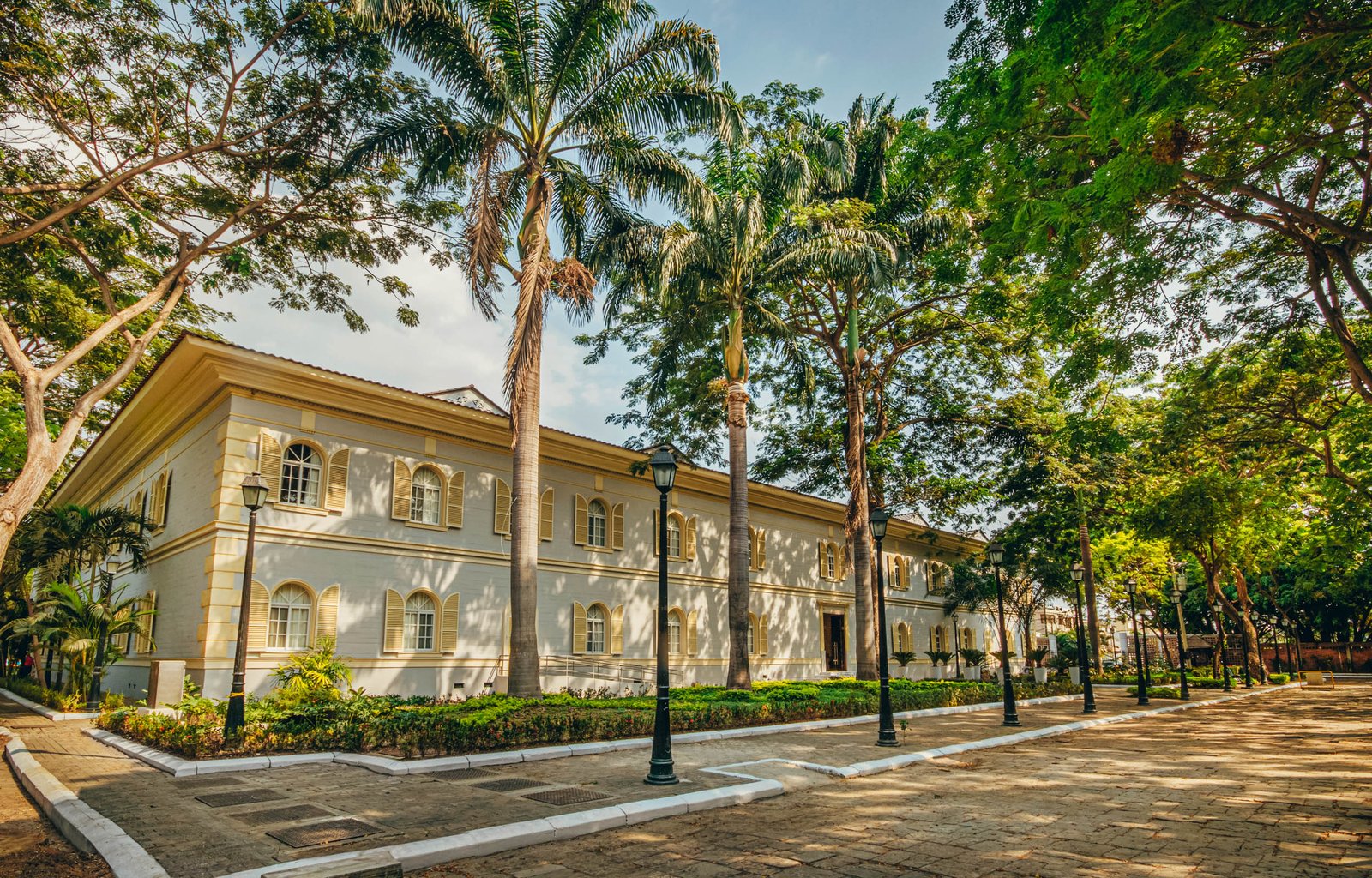 Hotel Del Parque, backstory