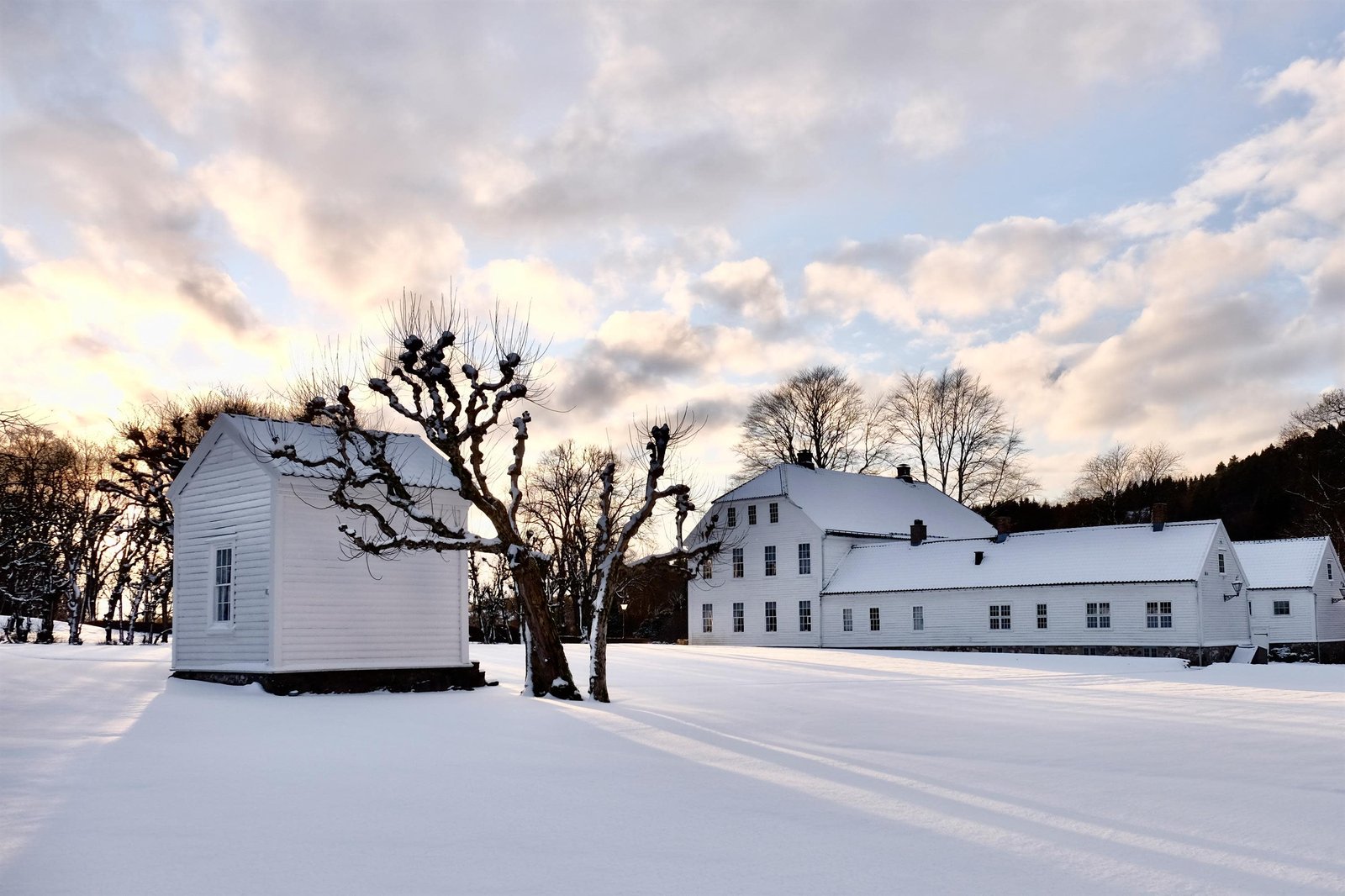 Boen Gård, backstory