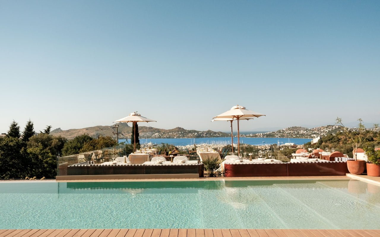 Birdcage 33, the pool