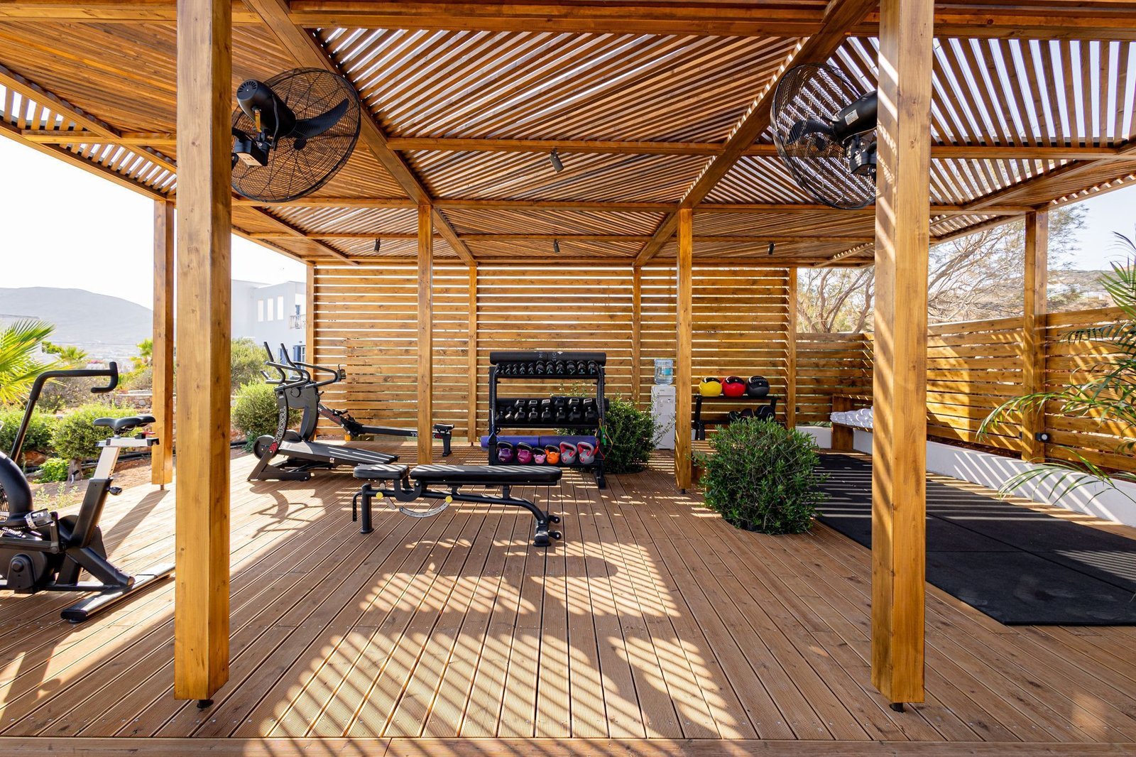 Andronis Minois, wellness