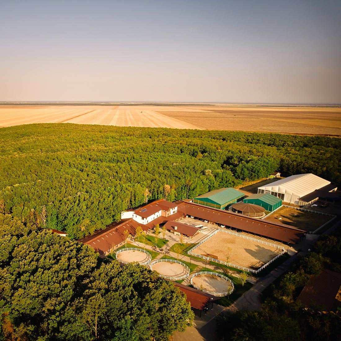 Singureni Manor, backstory