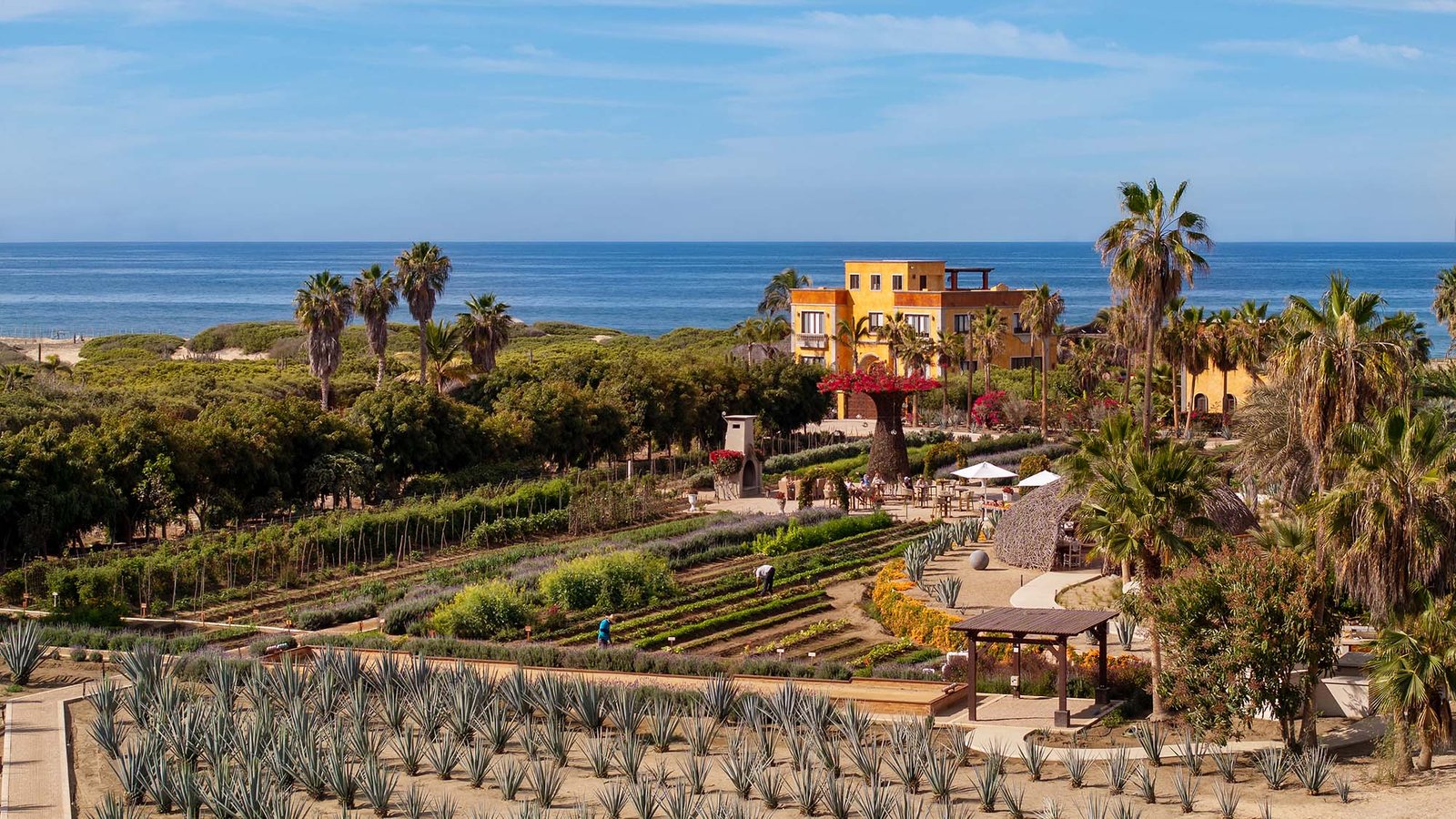 Hotel Villa Santa Cruz, backstory