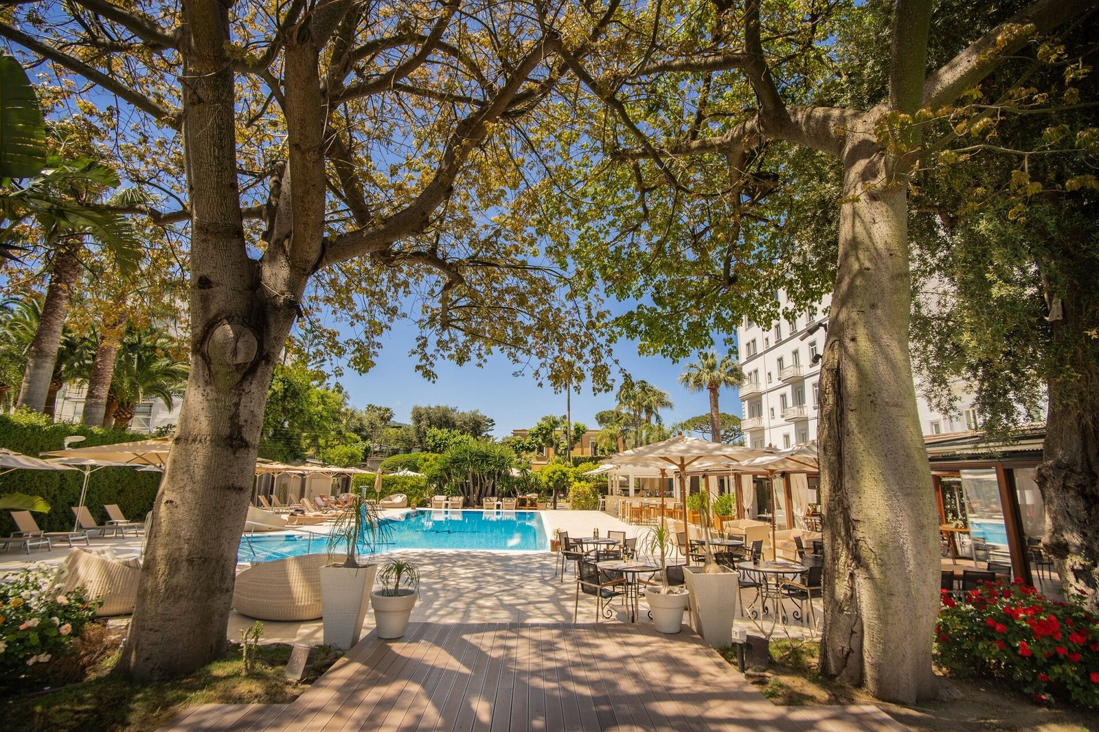 Hotel Mediterraneo Sorrento, the pool