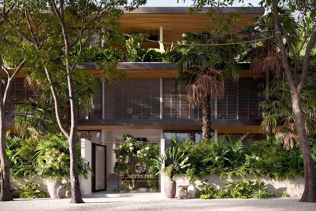 Silvestre Nosara Hotel & Residences, backstory