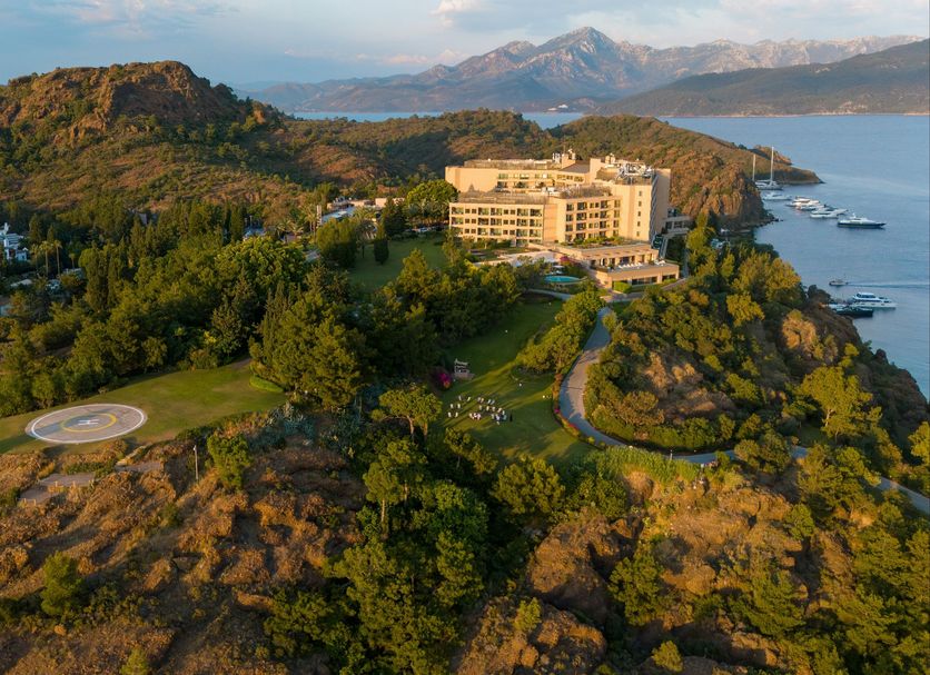 D Maris Bay, how it began