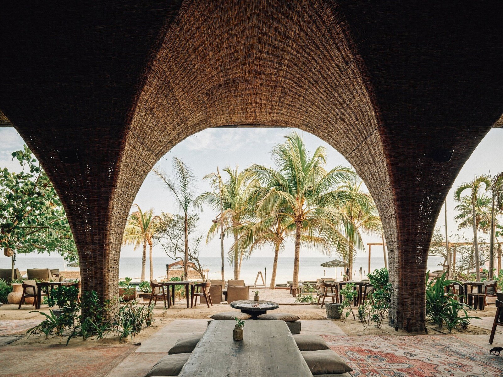 Nomade Holbox