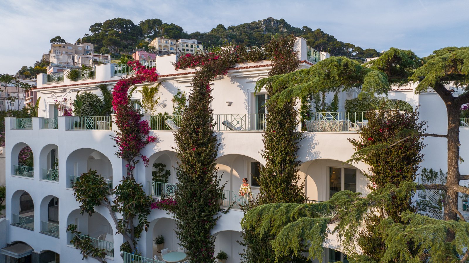 Hotel La Palma, backstory
