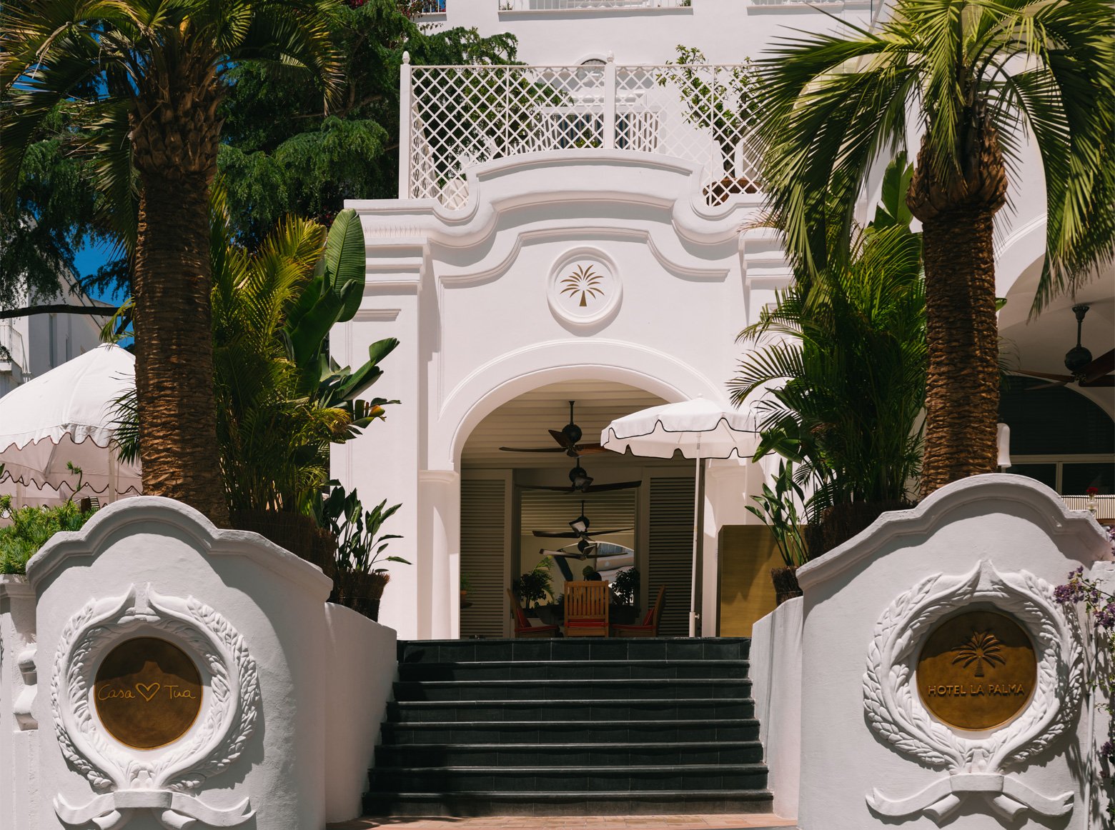 Hotel La Palma, backstory