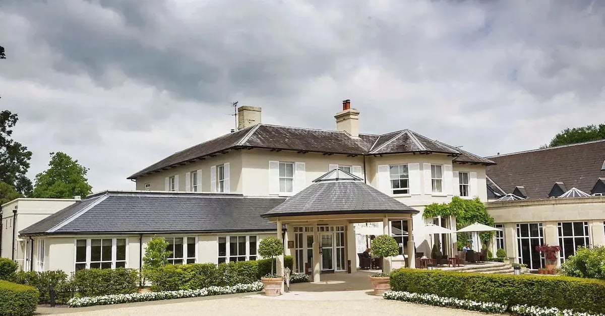 The Vineyard Hotel, backstory