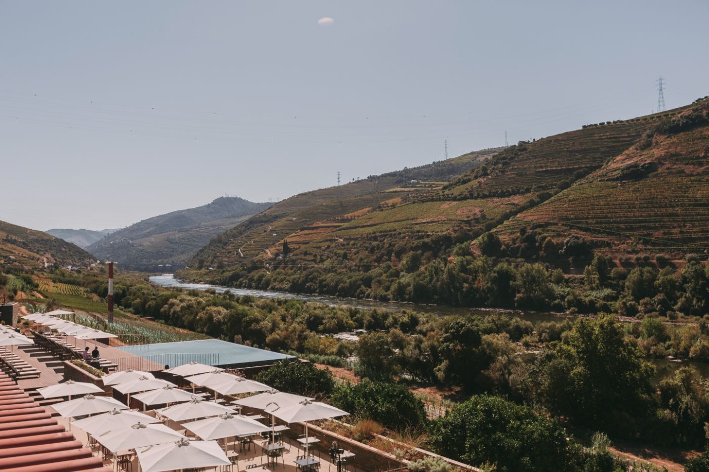 Torel Quinta da Vacaria - Douro Valley, at the table