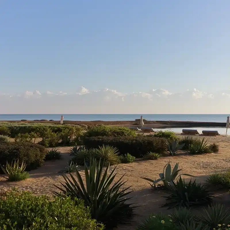 La Maison Bleue El Gouna, vibe
