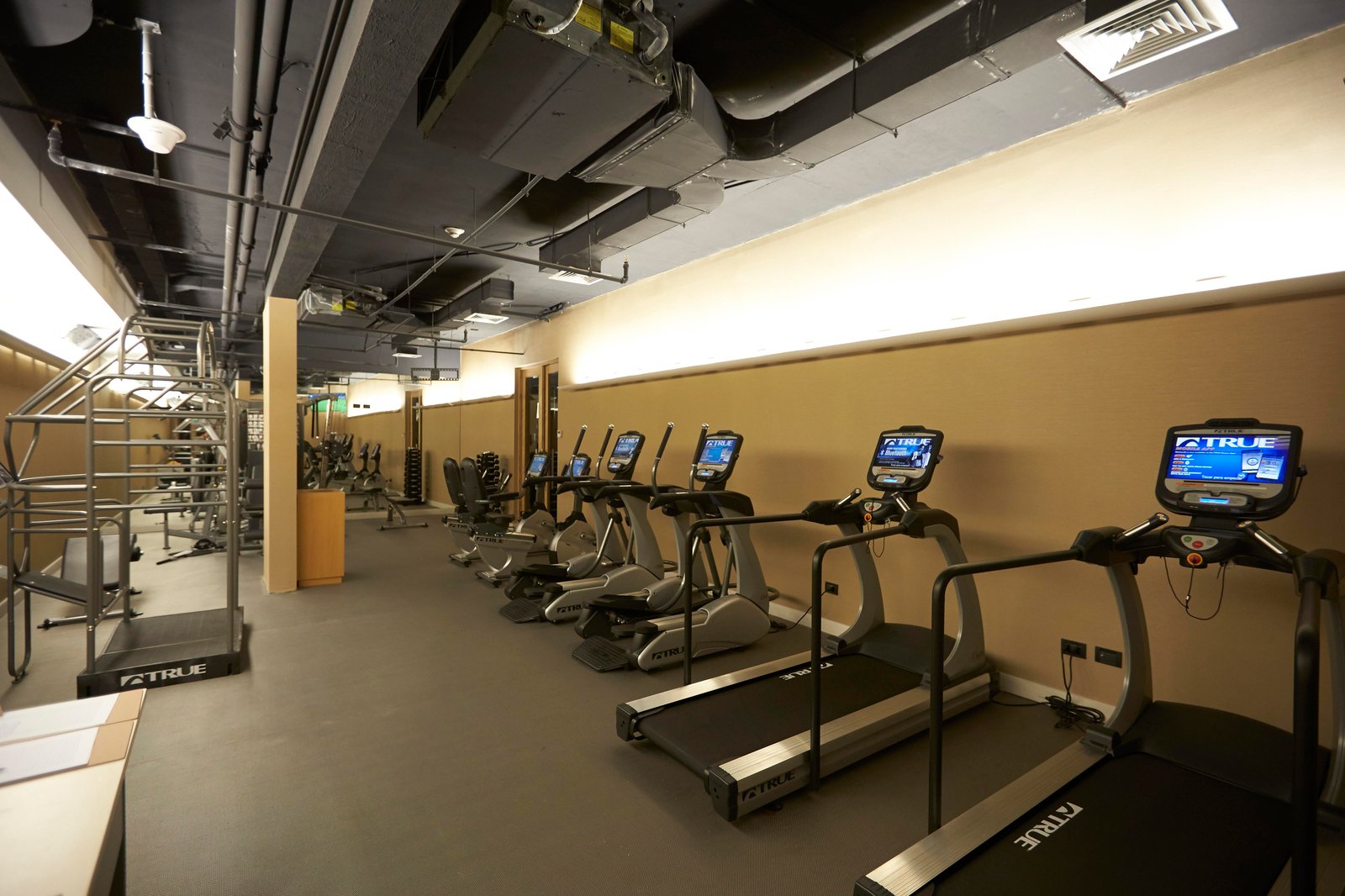 The Singular Santiago, wellness