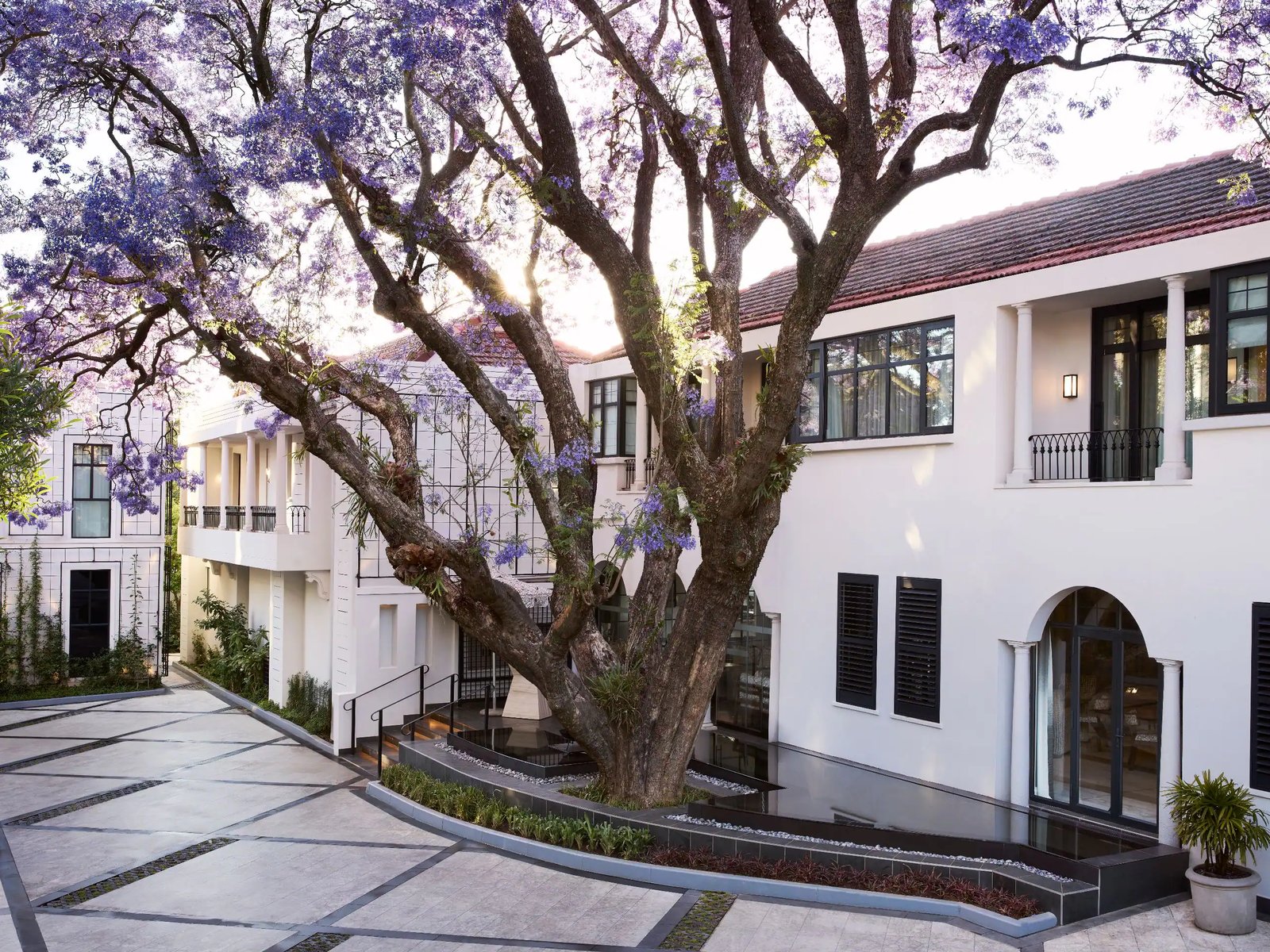Park Hyatt Johannesburg, backstory