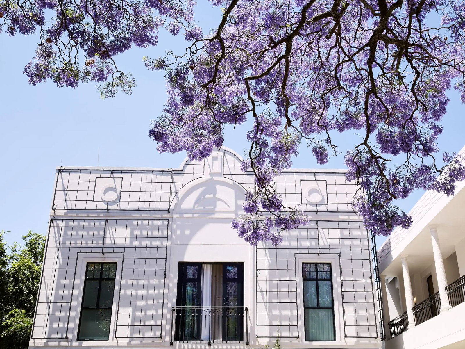 Park Hyatt Johannesburg, backstory