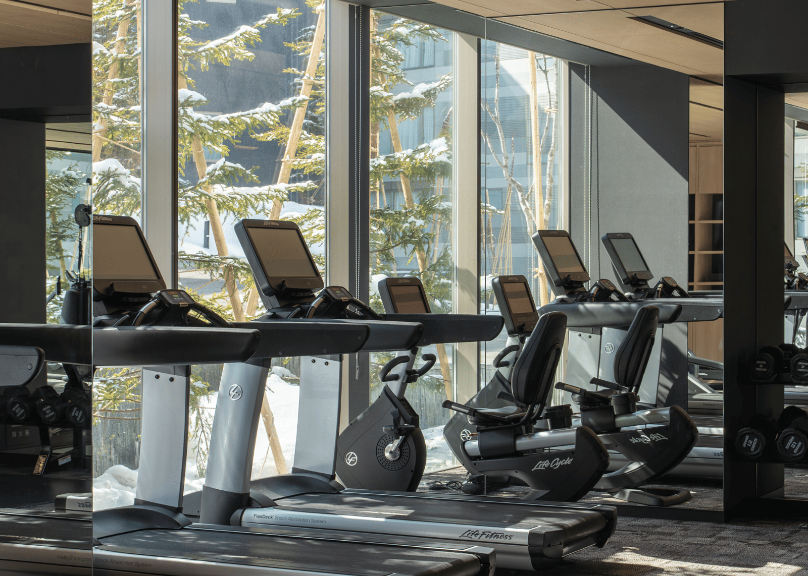 Setsu Niseko, the spa and gym