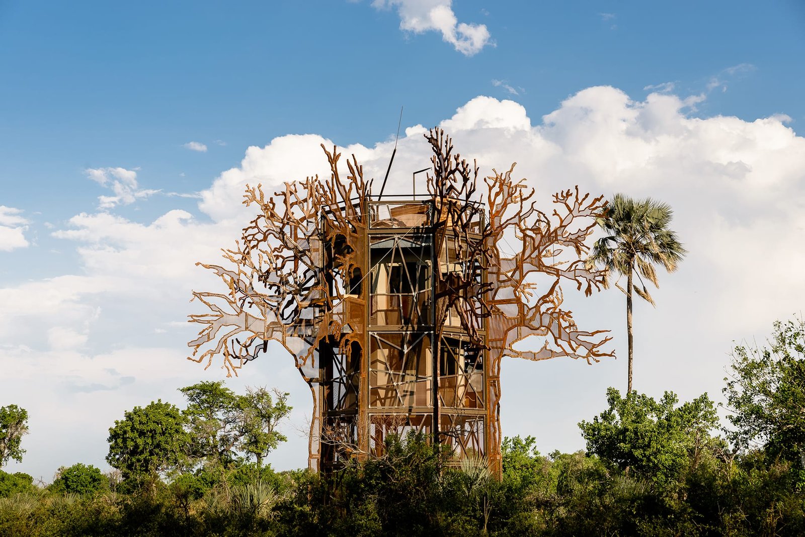 Xigera Safari Lodge, backstory