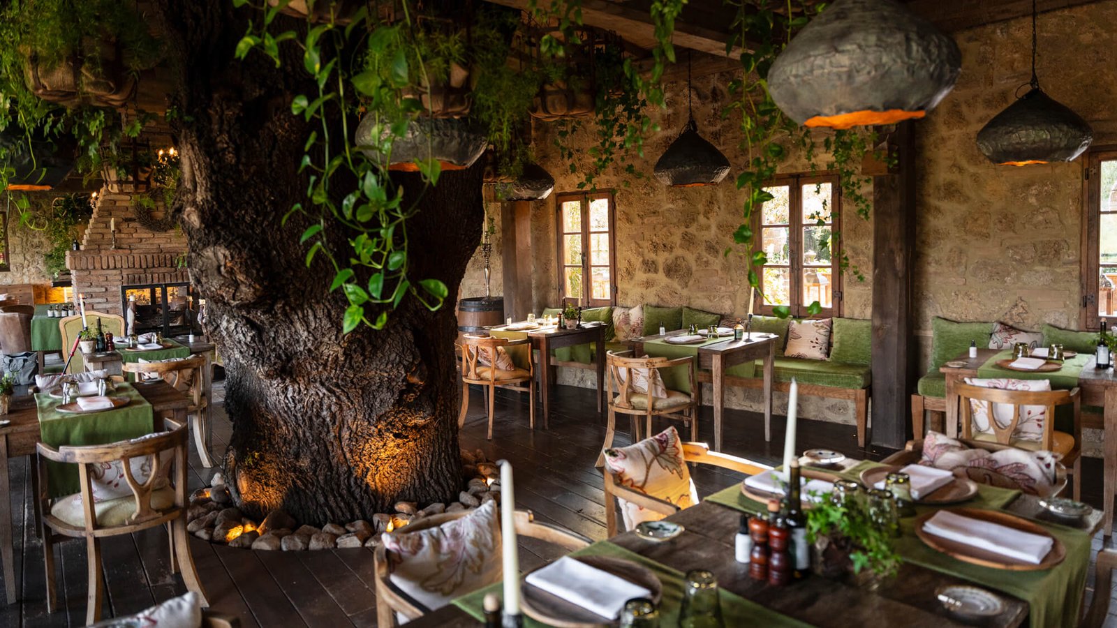 Borgo Santo Pietro, trattoria sull'albero