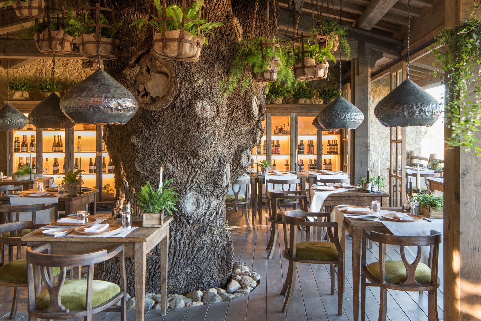 Borgo Santo Pietro, trattoria sull'albero