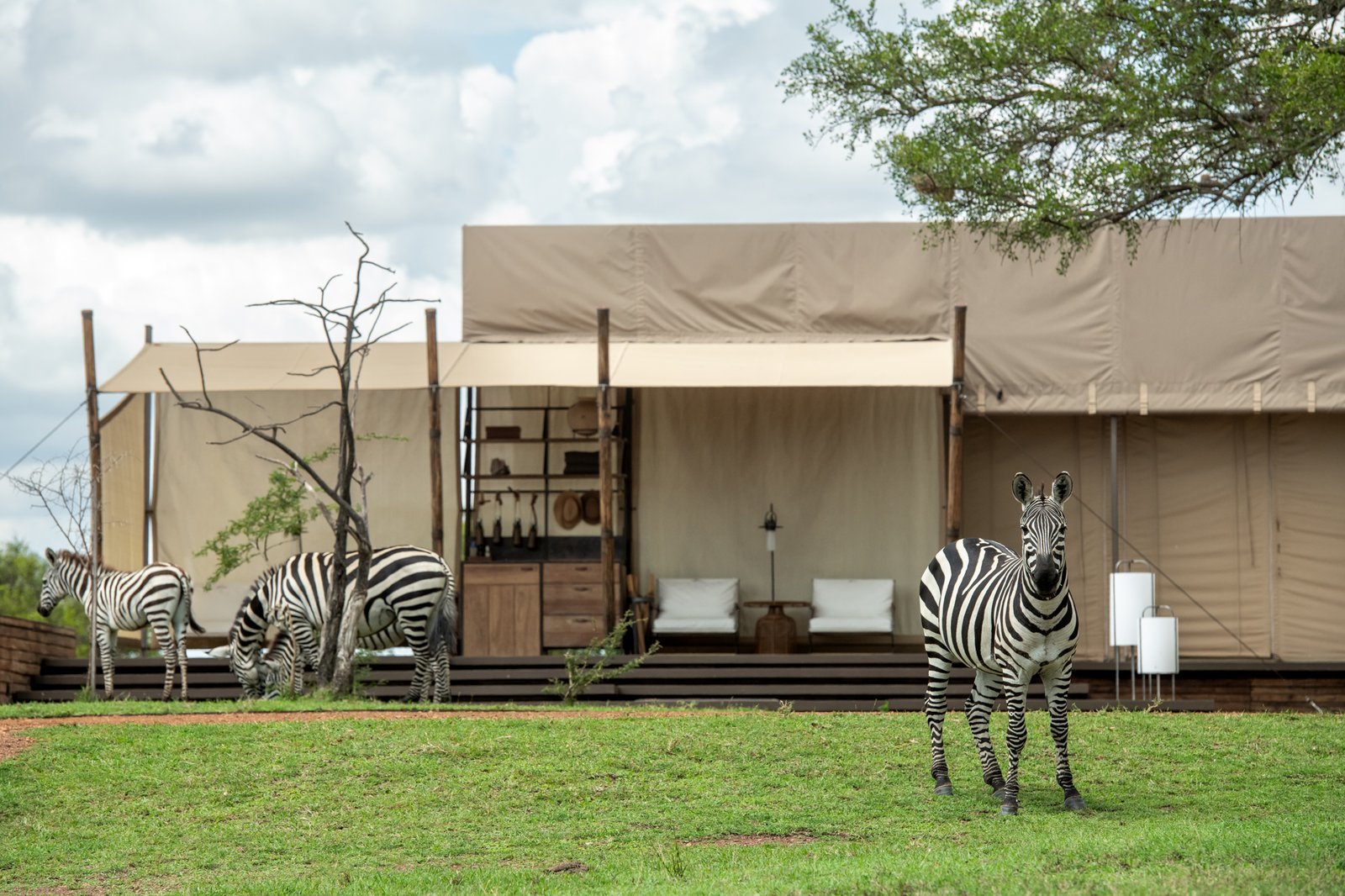 Singita Sabora, how it began