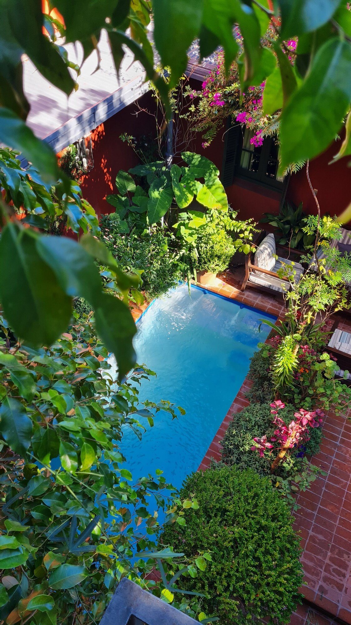 Be Jardín Escondido by Coppola, the pool