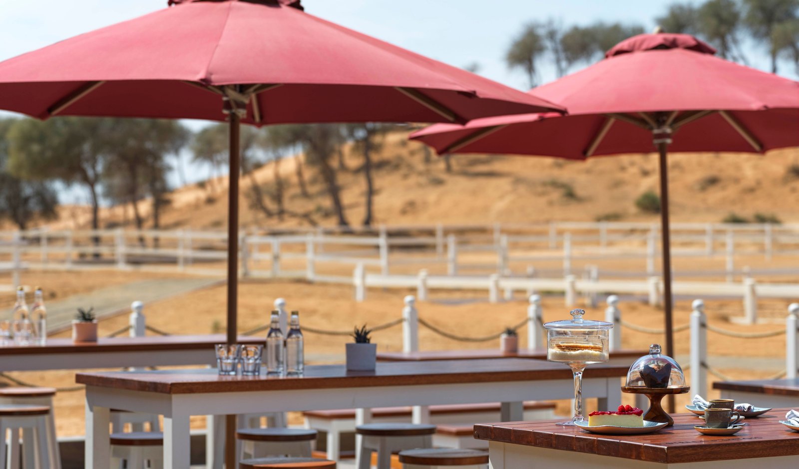 The Ritz-Carlton Ras Al Khaimah, Al Wadi Desert, eat & drink