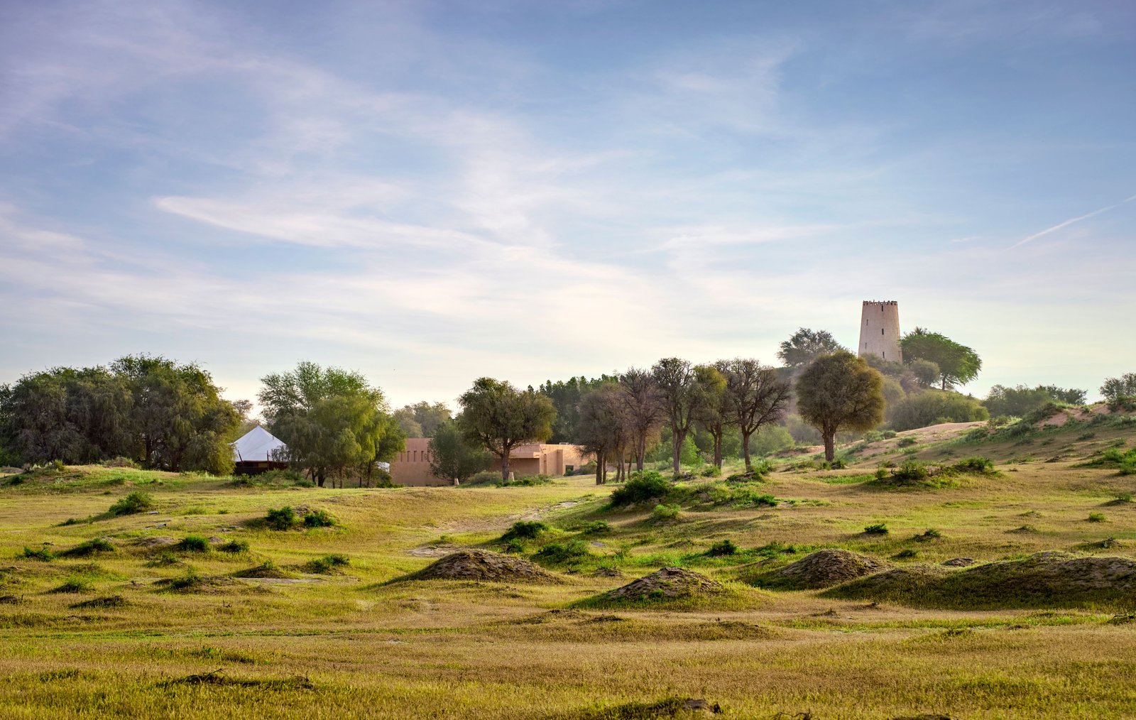 The Ritz-Carlton Ras Al Khaimah, Al Wadi Desert, vibe
