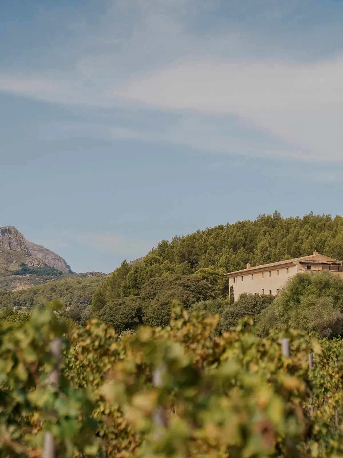 Son Brull Hotel & Spa, backstory